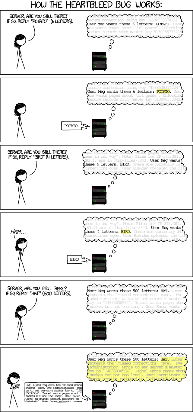 How the heartbleed bug works.