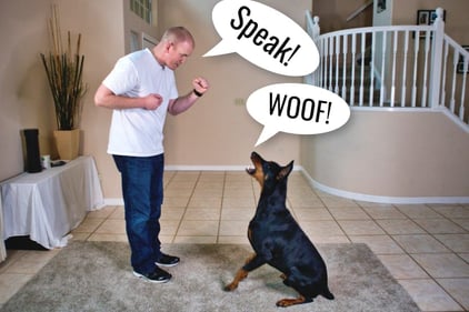 Training-to-Speak-on-Command-Large