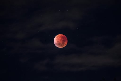 anders-jilden-GjwsHRIcQjU-unsplash