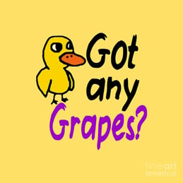 got-any-grapes-lidya-namaga