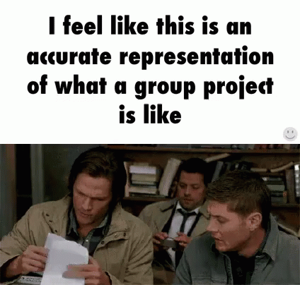 group-project-group-projects-be-like