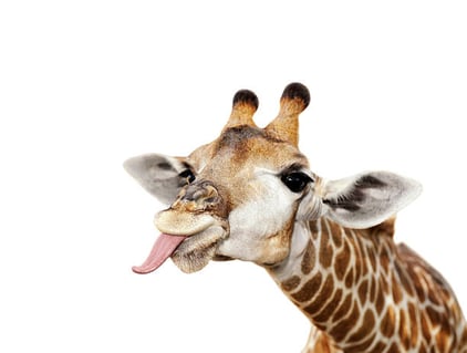 istockphoto-482394965-612x612